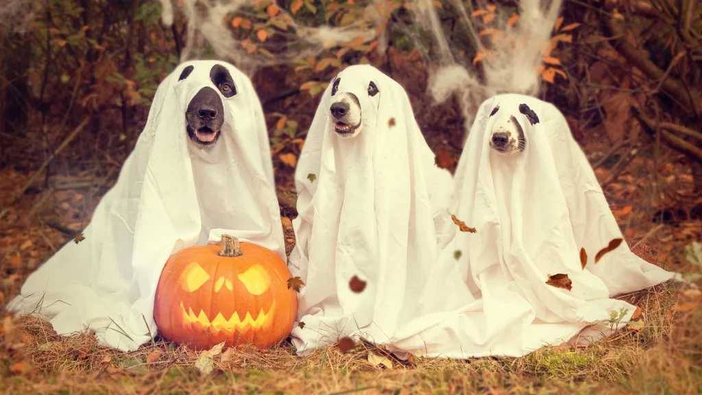 Cartelería digital promocionando el Día de Halloween